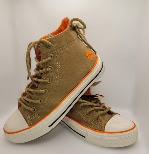 Canvas Shoes