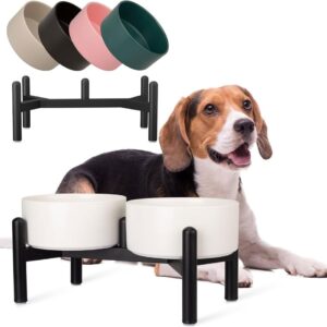 Raised Ceramic Dog Bowl Set