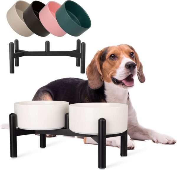 Raised Ceramic Dog Bowl Set