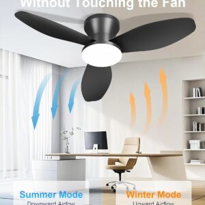 42 Inch Ceiling Fans with Lights