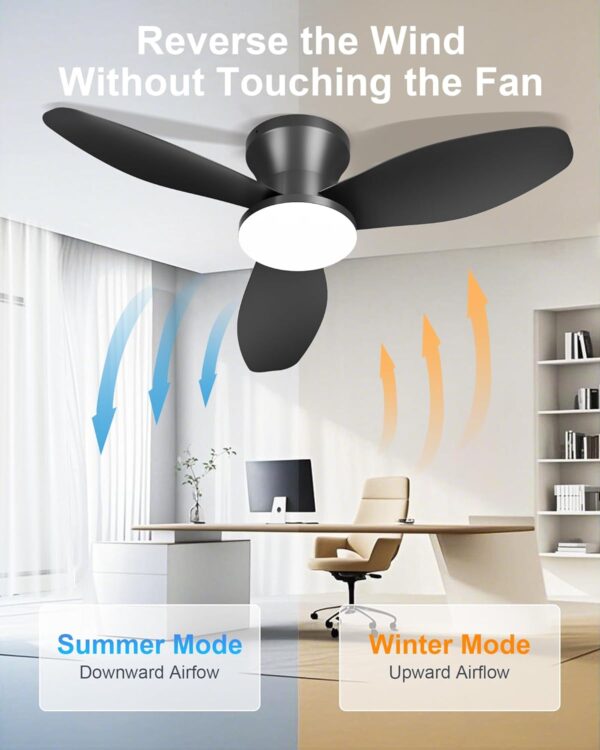 42 Inch Ceiling Fans with Lights
