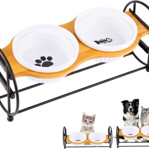 Elevated Adjustable Cat Bowl Set with 2 Dishes for Cats & Puppy