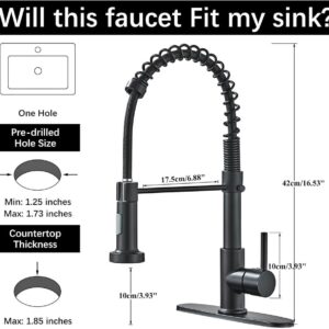 Alenart Kitchen Faucet with Pull Down Sprayer,Multi-Function Single Handle Kitchen Sink Faucets,