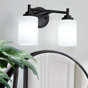 Matte Black Bathroom Light Fixtures,2-Light Bathroom Vanity Light Over Mirror