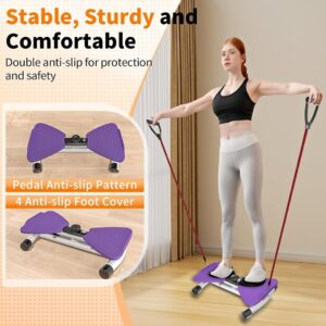 Lerpio Waist Twisting Machine Fitness Tool with Digital Display, Ab Exercise Twister Board