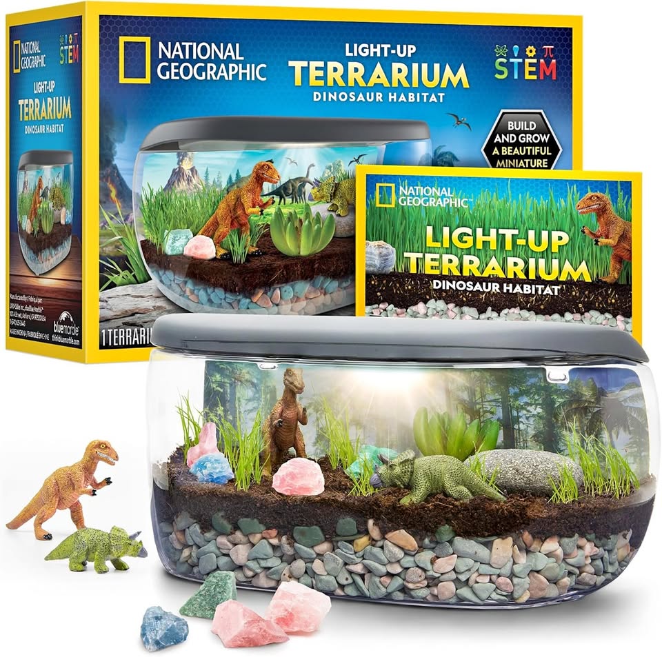 National Geographic Light Up Terrarium Kit for Kids